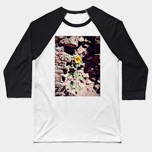 Sunflower in front of castle wall Baseball T-Shirt